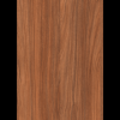 Afrika Ceviz Suntalam